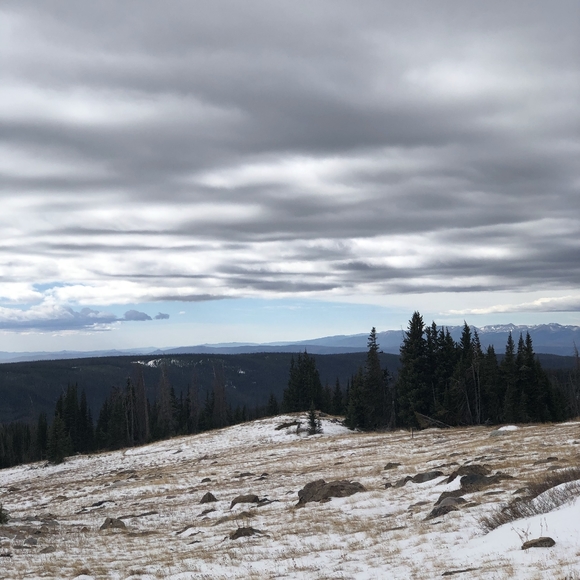 ESSMEIER is Live! - Picture 14 of 16